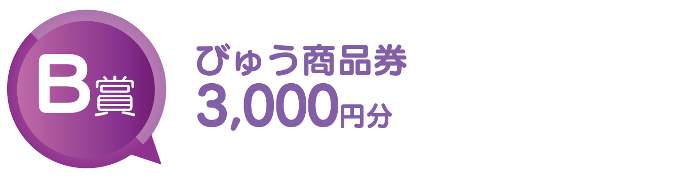 B賞 びゅう商品券3,000円分