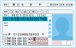 免許証 表