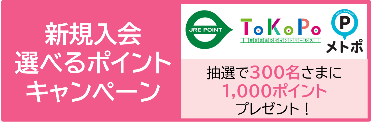 大学生向けプランが登場しました